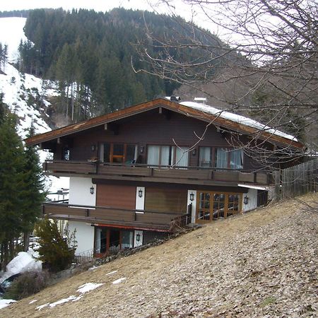Appartement Bernkogel 萨尔巴赫 外观 照片