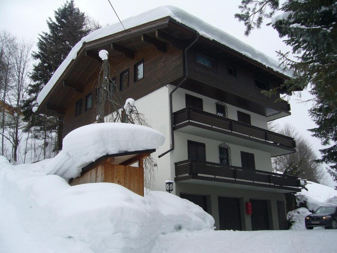 Appartement Bernkogel 萨尔巴赫 外观 照片